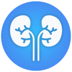 Nephrology Rotation Logo